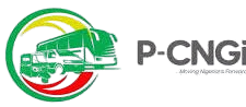 P-CNGI